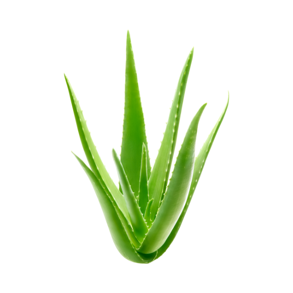Oasis™ Hydrating Primer