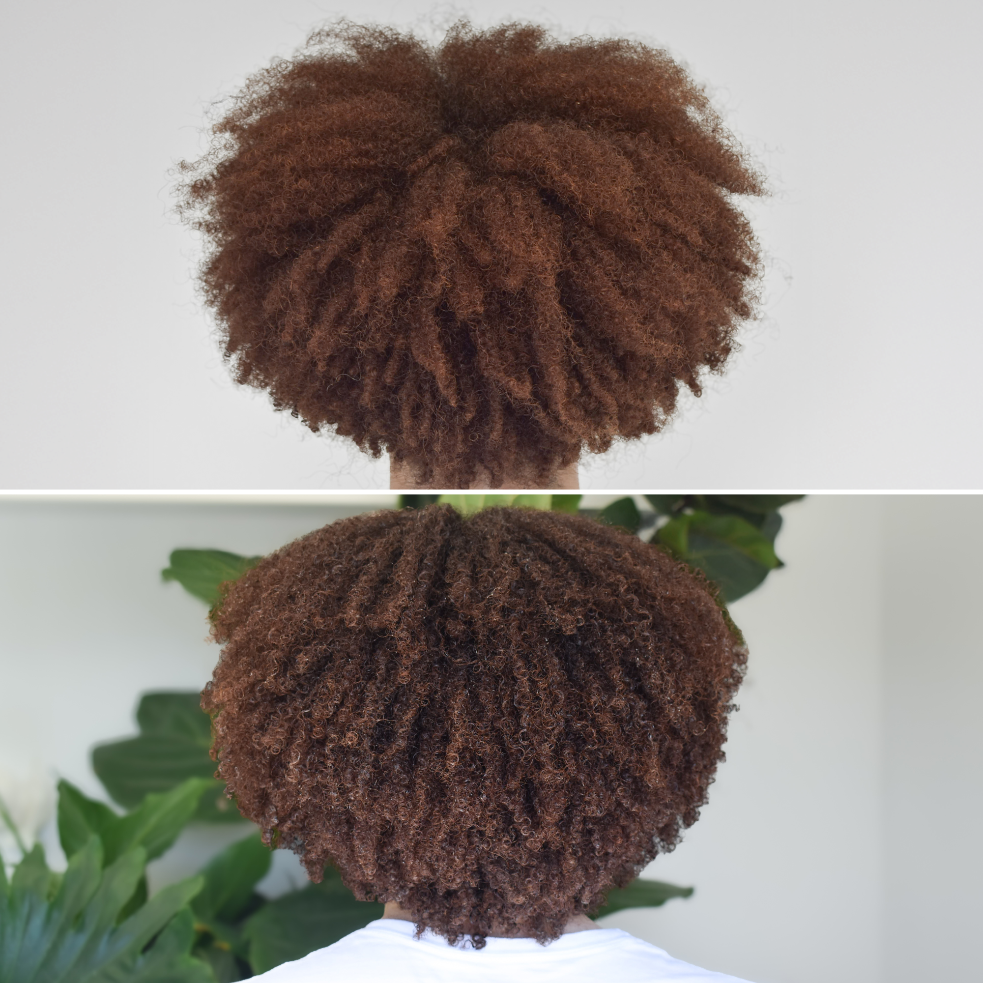 Curl Basics™ Conditioner