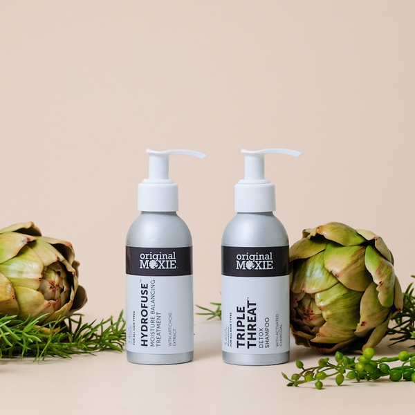 ディ-プモイスチャーエッセンス TEAM DR JOSEPH | Deep Recreation | Fruit and herbal tea, a